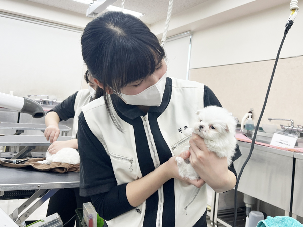 ☆子犬のお世話☆